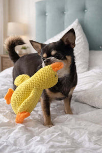 Kuschelspielzeug Entenfreund