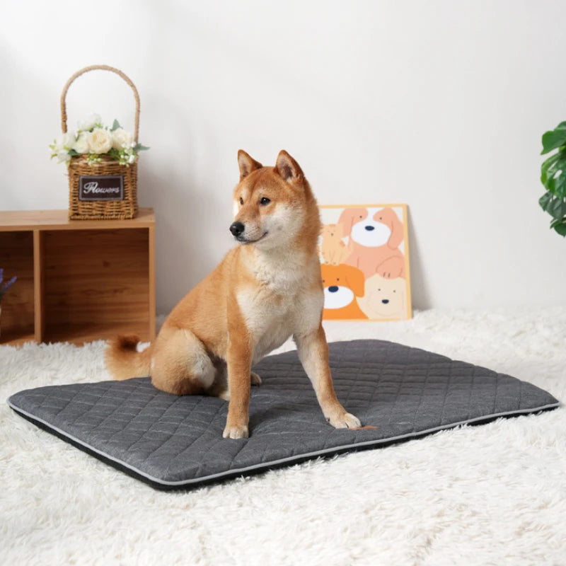 Ganzjahres Hundebett & Liegepad