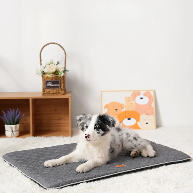 Ganzjahres Hundebett & Liegepad