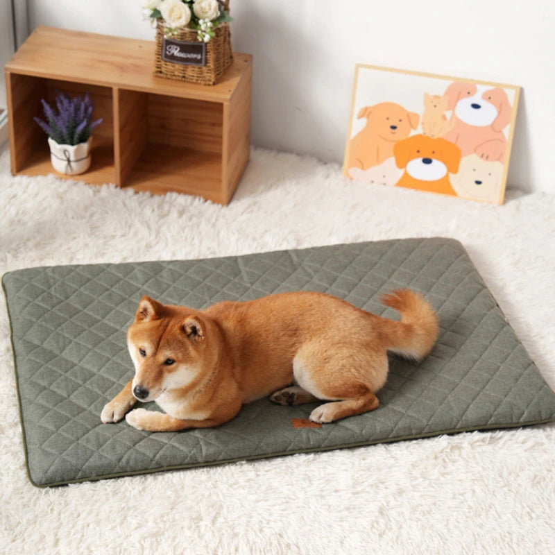 Ganzjahres Hundebett & Liegepad