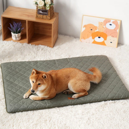 Ganzjahres Hundebett & Liegepad